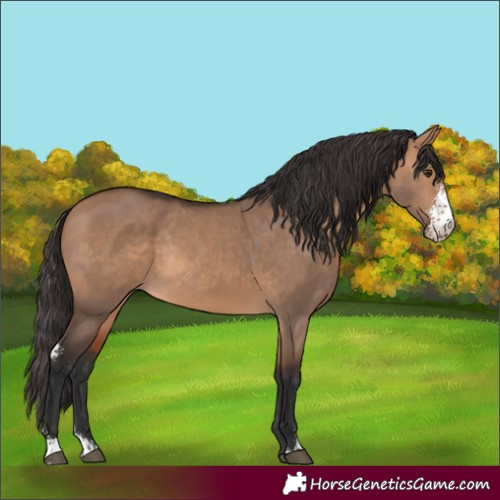 Horse Color:Unknown 