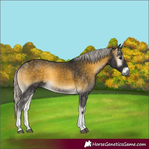 Horse Color:Silver Buckskin Onyx Tobiano Rabicano
