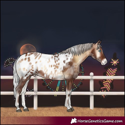 Horse Color:Silver Bay Onyx Merle Blanket Rabicano 
