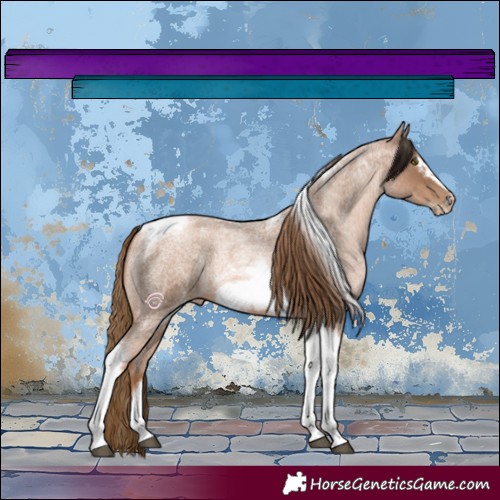 Horse Color:Liver Red Roan Pearl Tobiano Frame