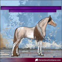 Horse Color:Liver Red Roan Pearl Tobiano Frame 