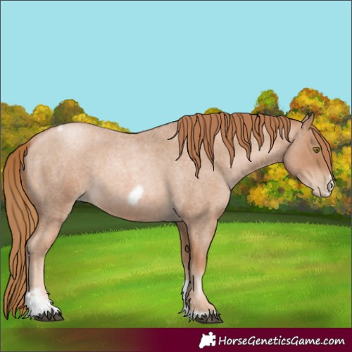 Horse Color:Red Roan Pearl Tobiano Frame 