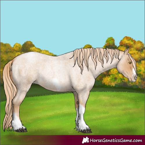 Horse Color:Red Roan Pearl Tobiano Frame