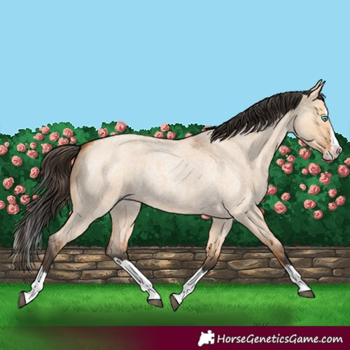 Horse Color:Bay Roan Dun Splash 