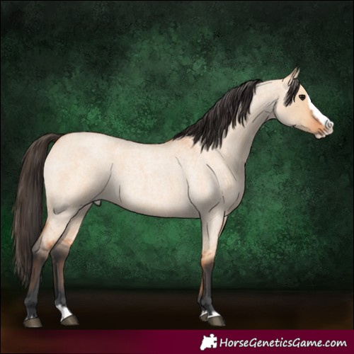 Horse Color:Bay Roan Dun Splash 