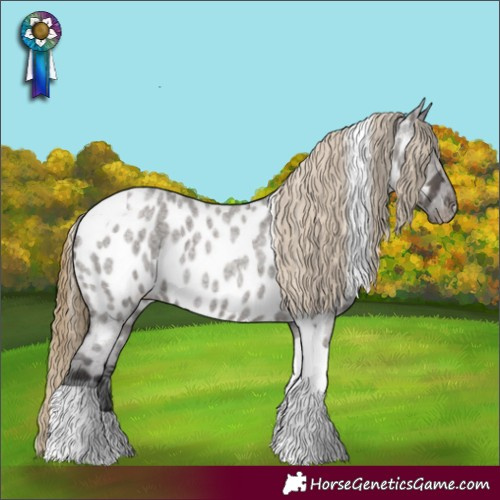Horse Color:Smoky Grullo Roan Tobiano Near Leopard 