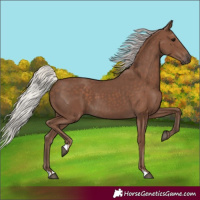 Horse Color:Silver Black 