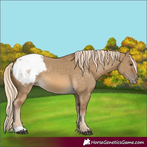 Horse Color:Chocolate Palomino Dun Snowcap
