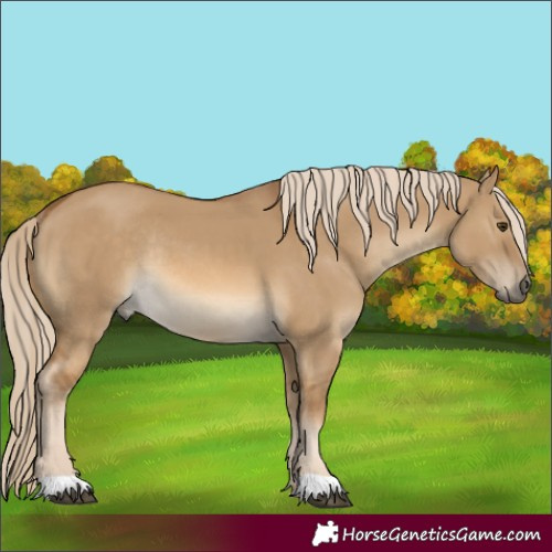 Horse Color:Chocolate Palomino Dun Rabicano 