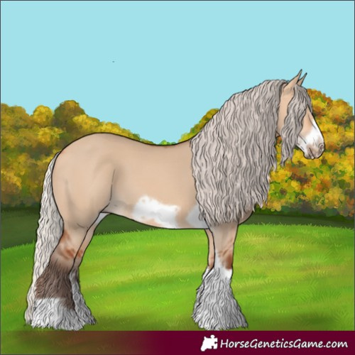 Horse Color:Silver Bay Dun Sabino Tobiano Frame Rabicano 