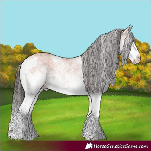 Horse Color:White Spotted Bay Splash and White Spotted Bay Splash