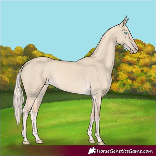 Horse Color:Cremello Dun 