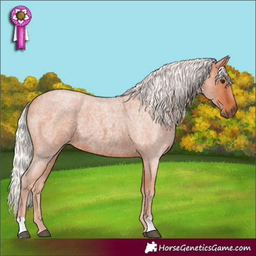 Horse Color:Silver Bay Roan Rabicano 