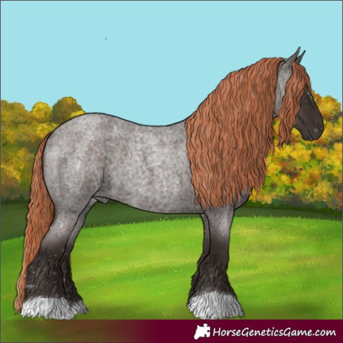 Horse Color:Liver Red Roan 