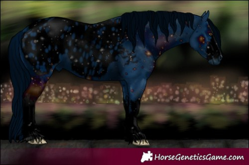 Horse Color:ERROR: UNKNOWN ANOMALY