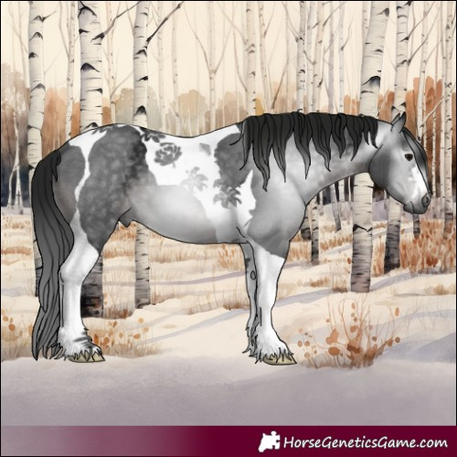 Horse Color:Gray Platinum Brown Ice Tobiano 