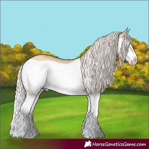 Horse Color:Silver Amber Champagne Dun Splash Frame Rabicano 