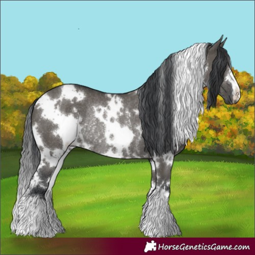 Horse Color:White Spotted Grullo Rabicano 