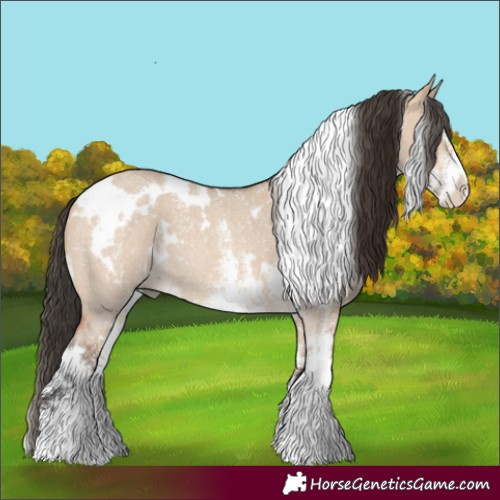 Horse Color:White Spotted Bay Dun Sabino Rabicano 
