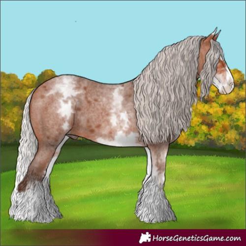 Horse Color:White Spotted Silver Bay Roan Splash