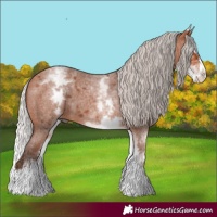 Horse Color:White Spotted Silver Bay Roan Splash 