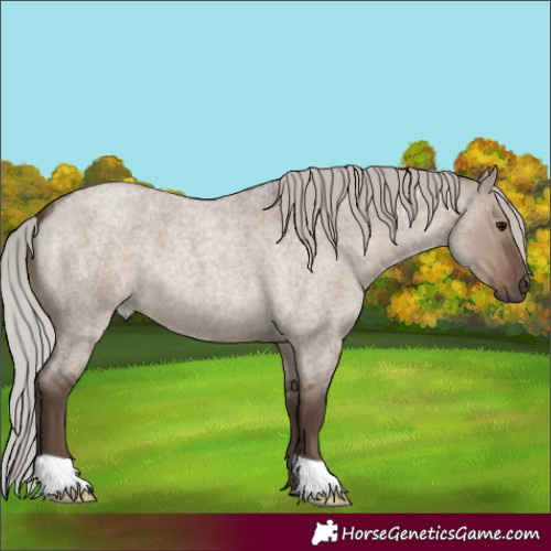 Horse Color:Silver Grullo Roan 