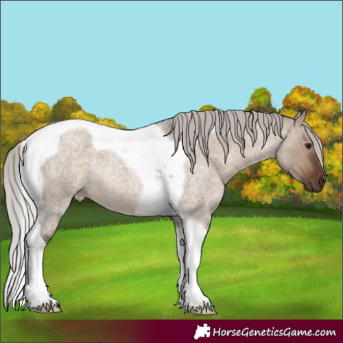 Horse Color:Silver Brown Roan Dun Tobiano 