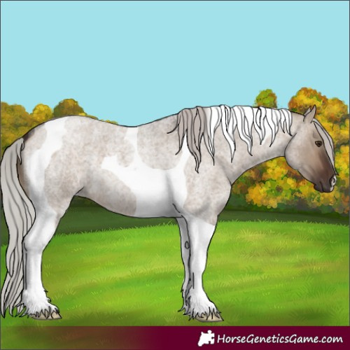 Horse Color:Silver Brown Roan Dun Tobiano