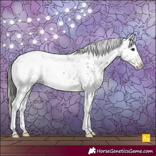 Horse Color:White Spotted Bay Sabino Varnish