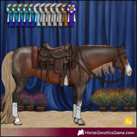 Horse Color:Liver Chestnut Sabino