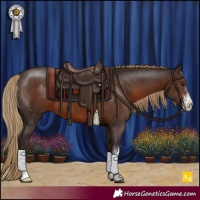 Horse Color:Liver Chestnut Sabino 