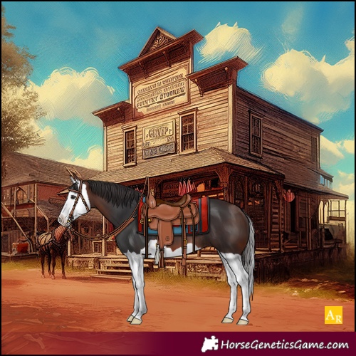 Horse Color:Bay Splash 