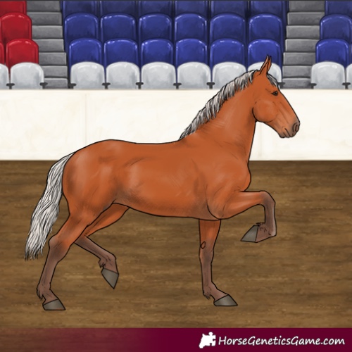 Horse Color:Silver Bay 