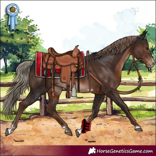 Horse Color:Liver Chestnut Sabino Rabicano