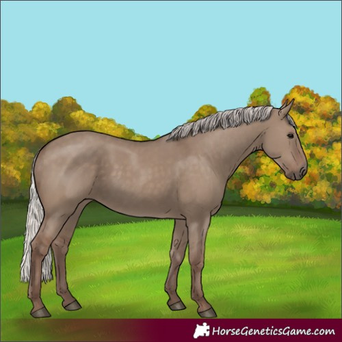 Horse Color:Silver Grullo 