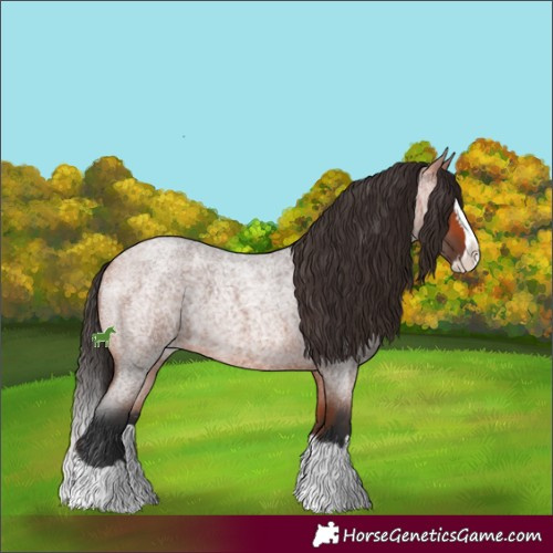 Horse Color:Bay Roan Splash 