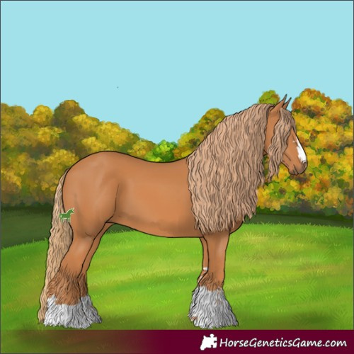 Horse Color:Chestnut 