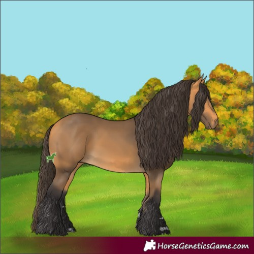 Horse Color:Buckskin 