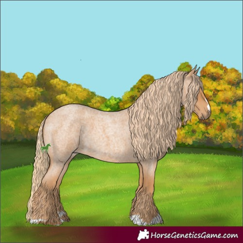 Horse Color:Red Roan 