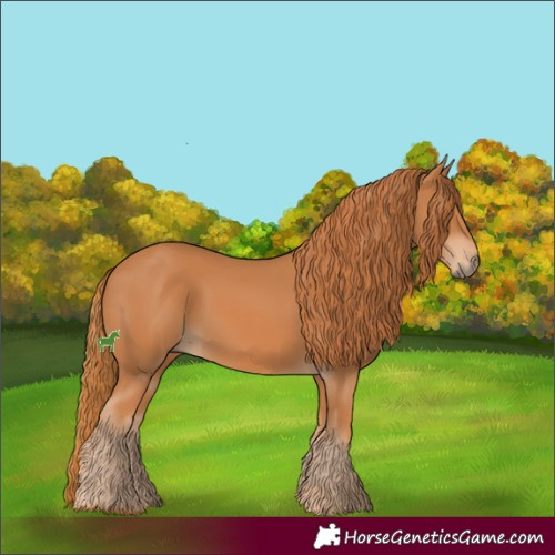 Horse Color:Chestnut 