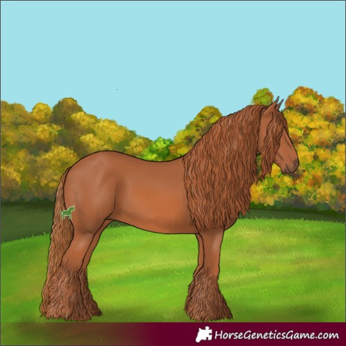 Horse Color:Chestnut 