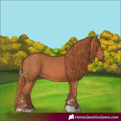 Horse Color:Chestnut 
