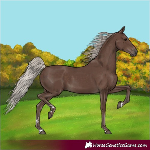 Horse Color:Silver Black 