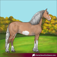 Horse Color:Silver Bay Dun Sabino Tobiano Frame Rabicano 