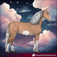 Horse Color:Silver Bay Dun Sabino Tobiano Frame Rabicano