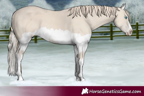 Horse Color:Smoky Creme Splash  and Smoky Creme Splash 