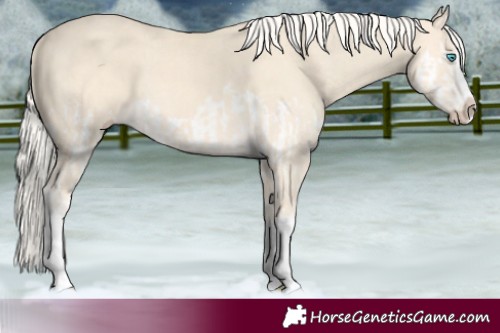 Horse Color:Cremello Splash  and Cremello Splash 