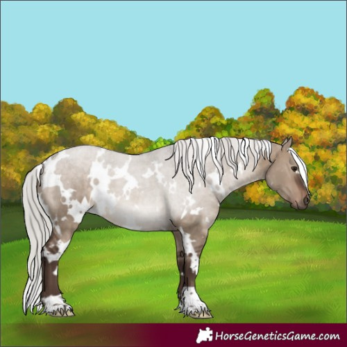 Horse Color:White Spotted Silver Brown Dun 