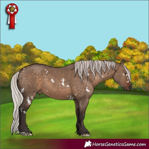 Horse Color:White Spotted Silver Brown Dun 