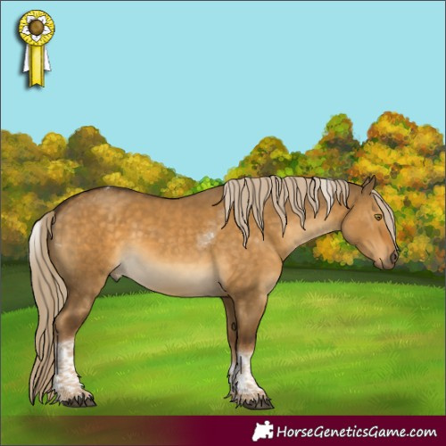 Horse Color:Chocolate Palomino Dun Tobiano 